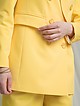 Жакеты и пиджаки ЕМКА 606-073 yellow
