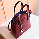 Классические сумки Arcadia 6107 tracery gloss red