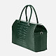 Классические сумки Lucia Lombardi 963 dark green croc
