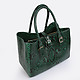 Классические сумки Геко Lovespring green python